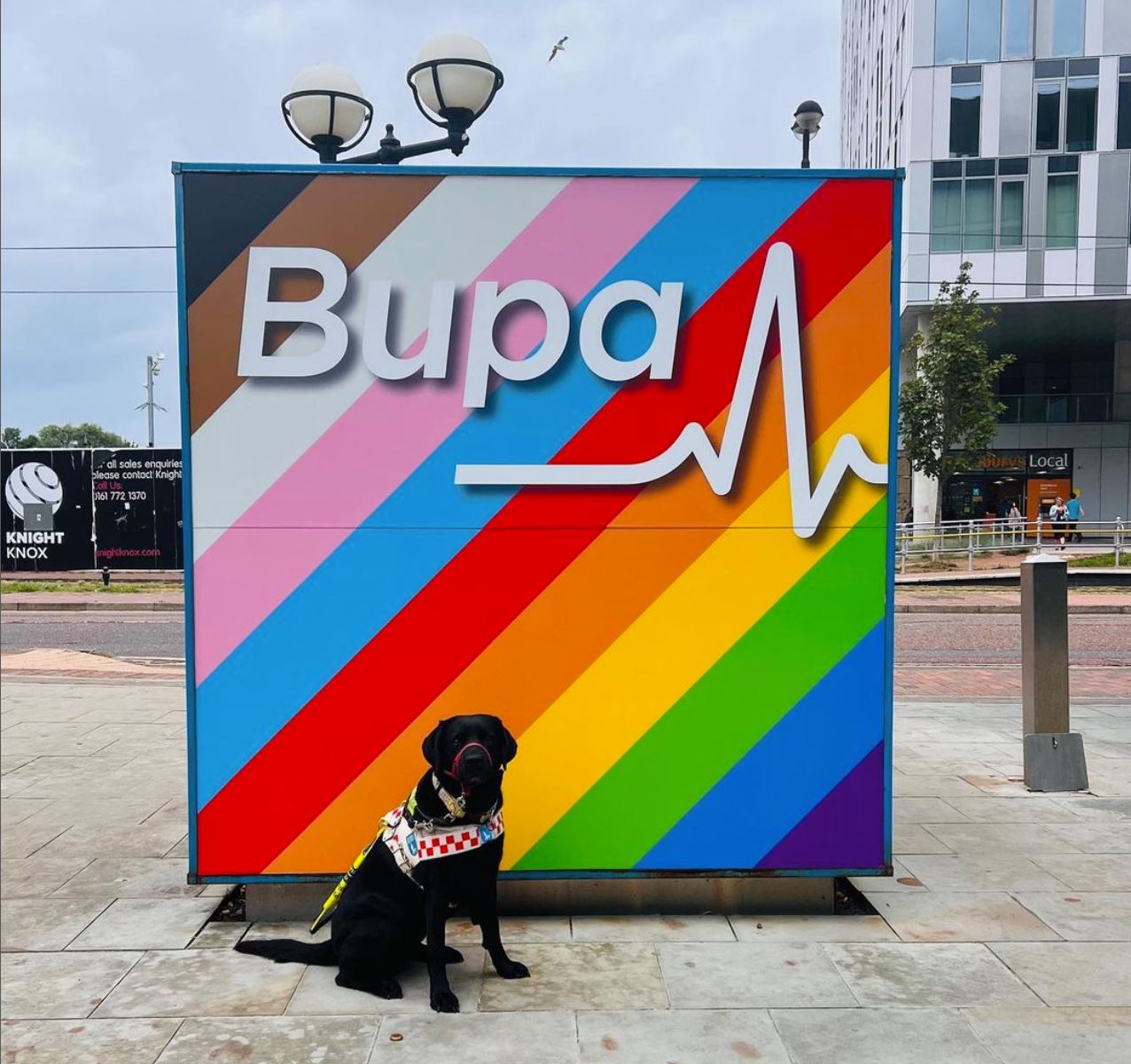 Bupa Improves Accessibility for its 45 Million Customers 
